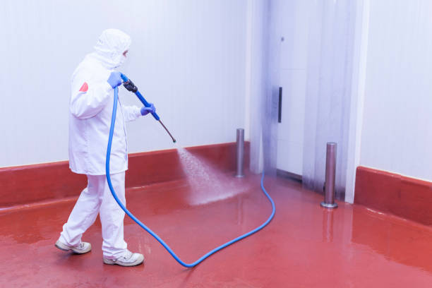 Best Patio and Deck Pressure Washing  in Bernardsville, NJ